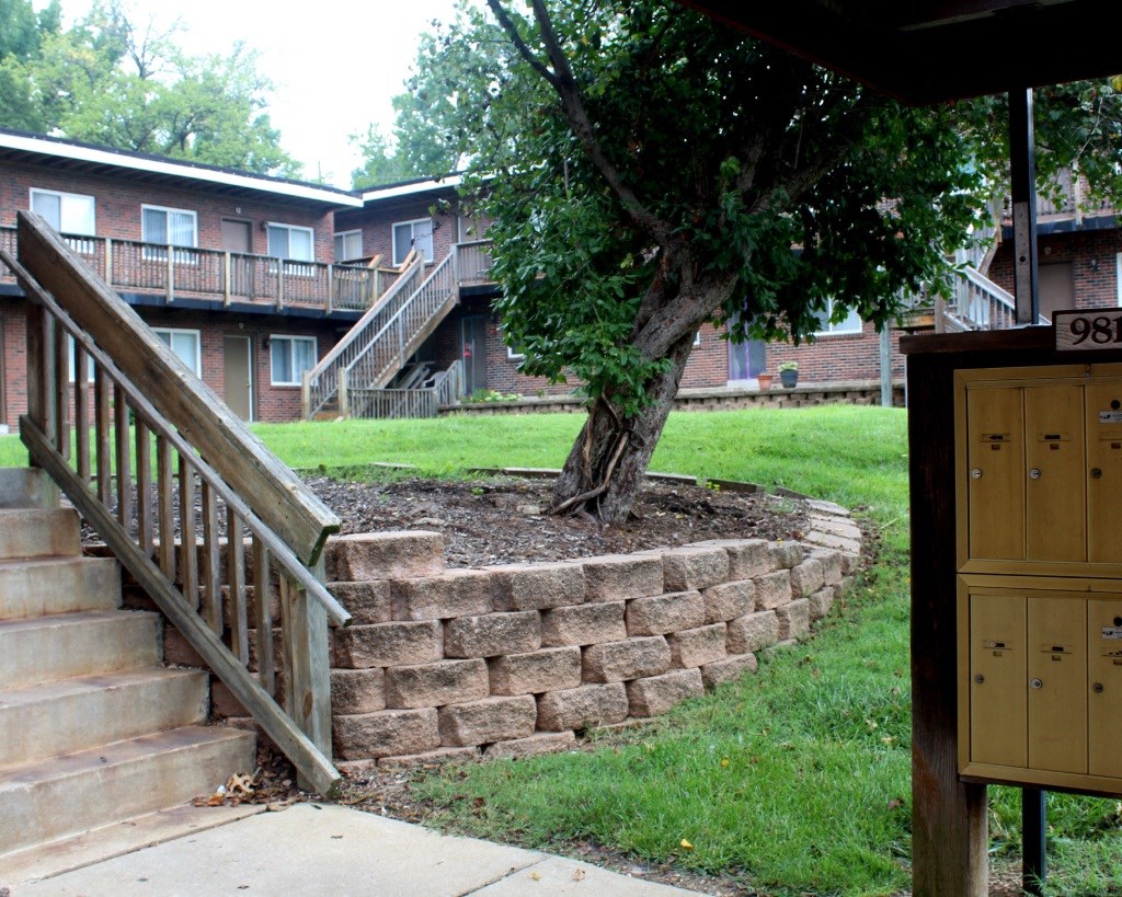 a tree growing out of a stone retaining wall in front of a building