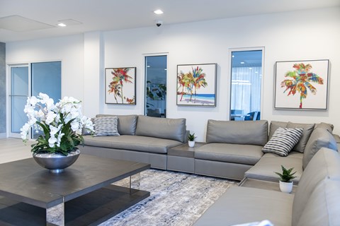 A modern living room with a grey sofa, a coffee table, and three framed pictures on the wall.