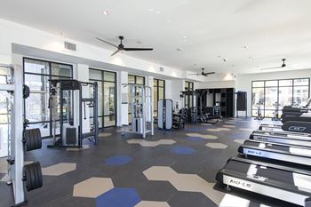 A gym with a variety of equipment including treadmills, weights, and a ceiling fan.