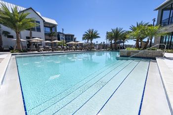 A large swimming pool with lane markings and palm trees in the background.