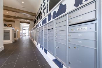 A row of mailboxes are lined up on a wall.