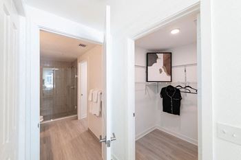 a renovated bathroom with a walk in shower and a closet
