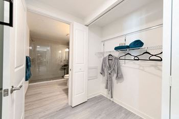 a closet with a mirror and a door to a bathroom