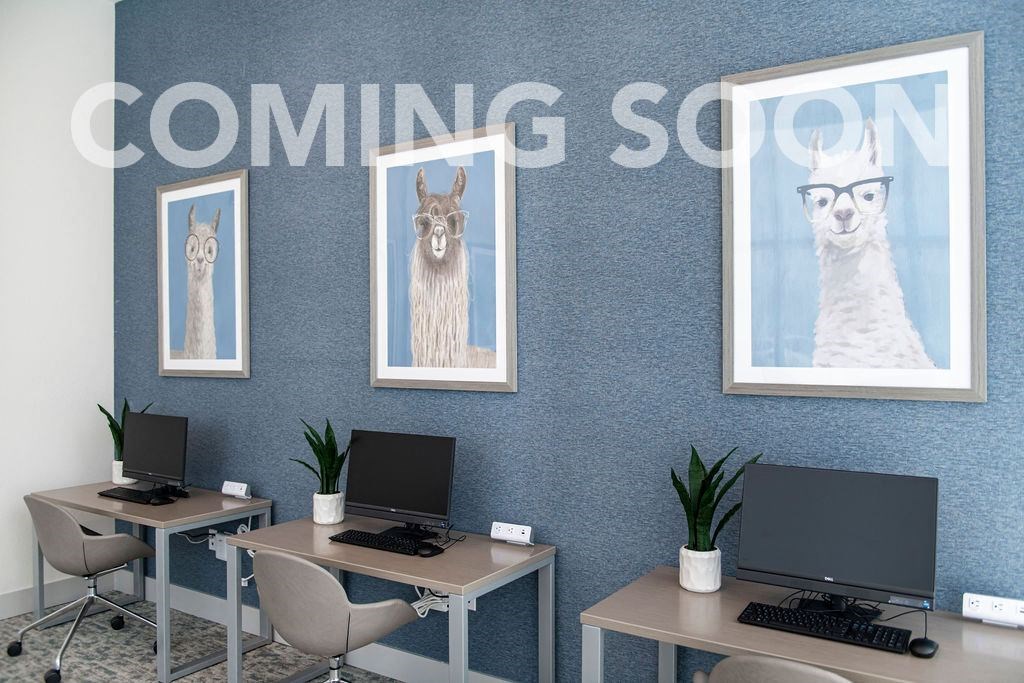 a room with two desks with computers and pictures of llamas on the wall