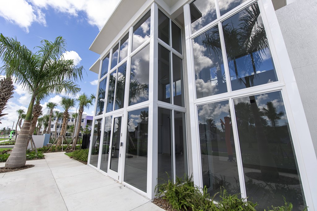 A white building with large windows and a palm tree in front.