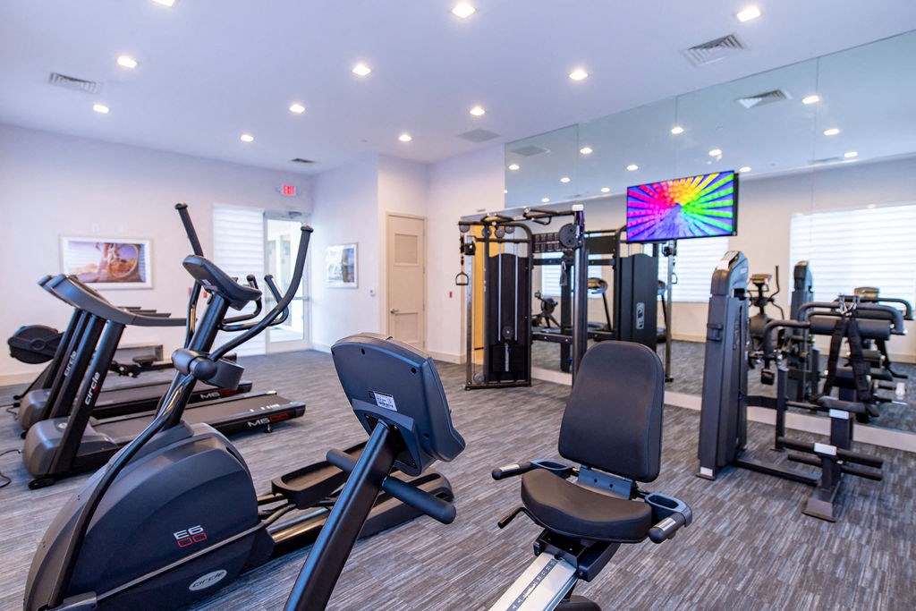 Solimar Interior