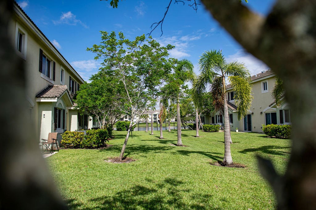 a yard with palm trees and houses