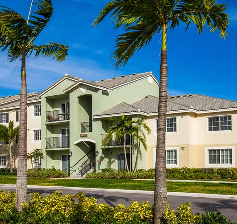 A building with a green and beige exterior is surrounded by palm trees and yellow flowers.