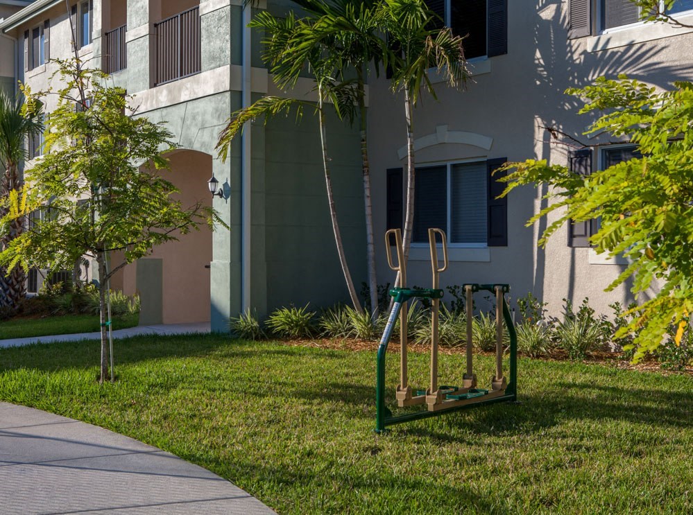 a swing hanging from a tree in front of a building