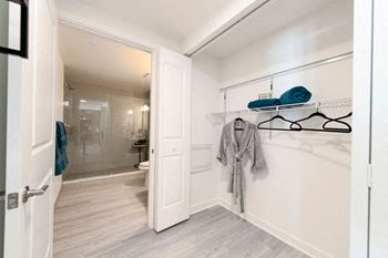 a bathroom with a closet and a shower and a door