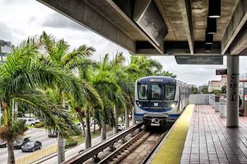 A train is on the tracks at a station with palm trees in the background.