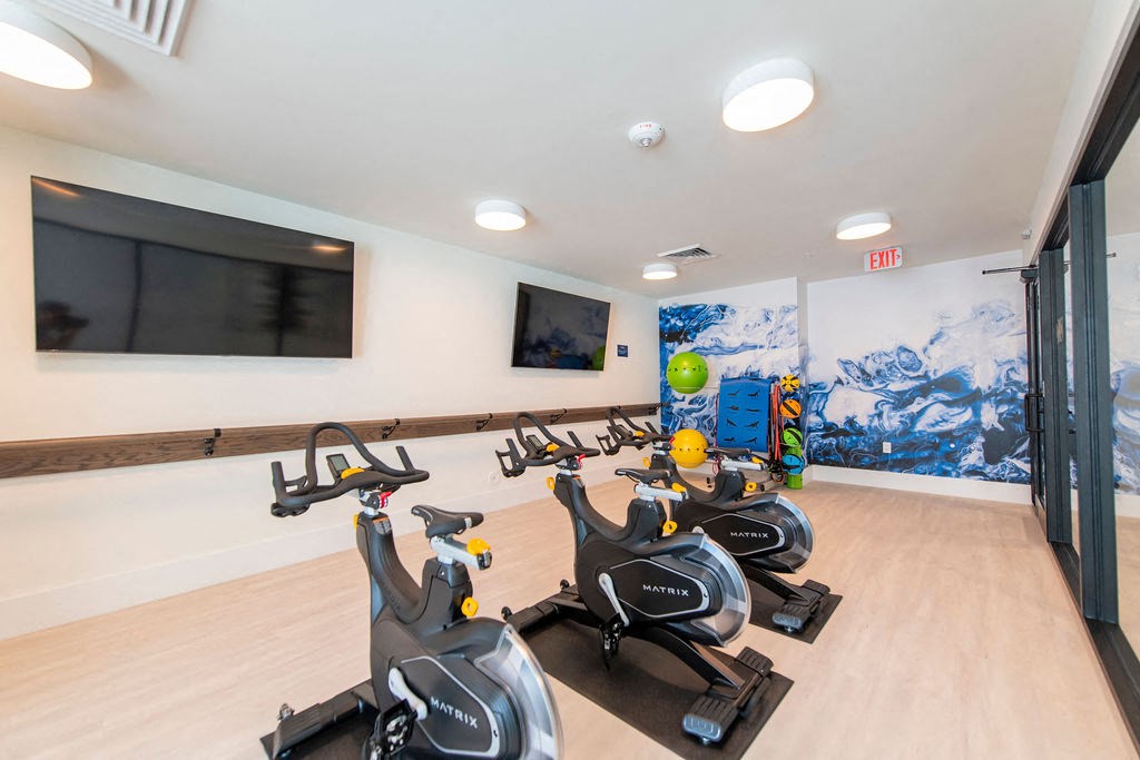 a home gym with treadmills and a flat screen tv