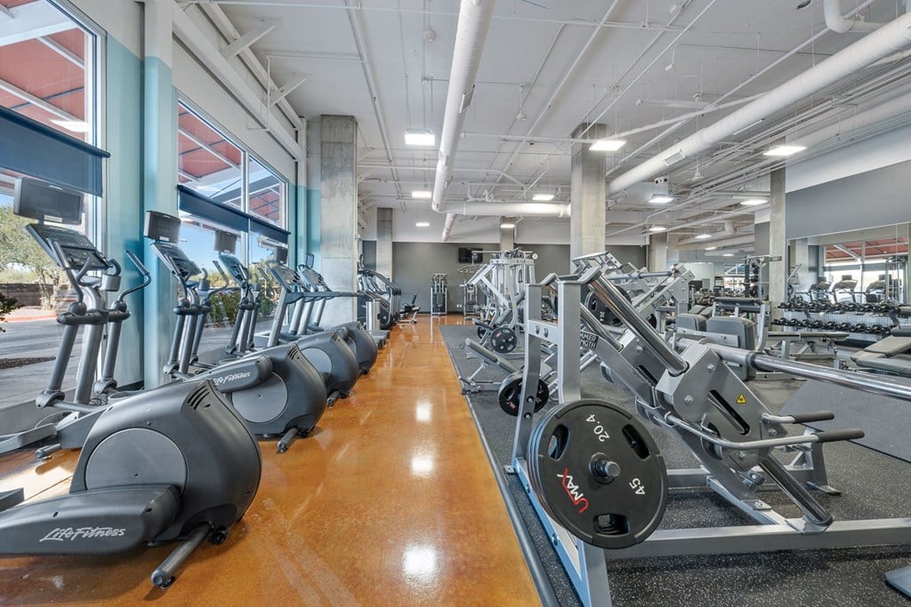 the gym is equipped with weights and cardio equipment