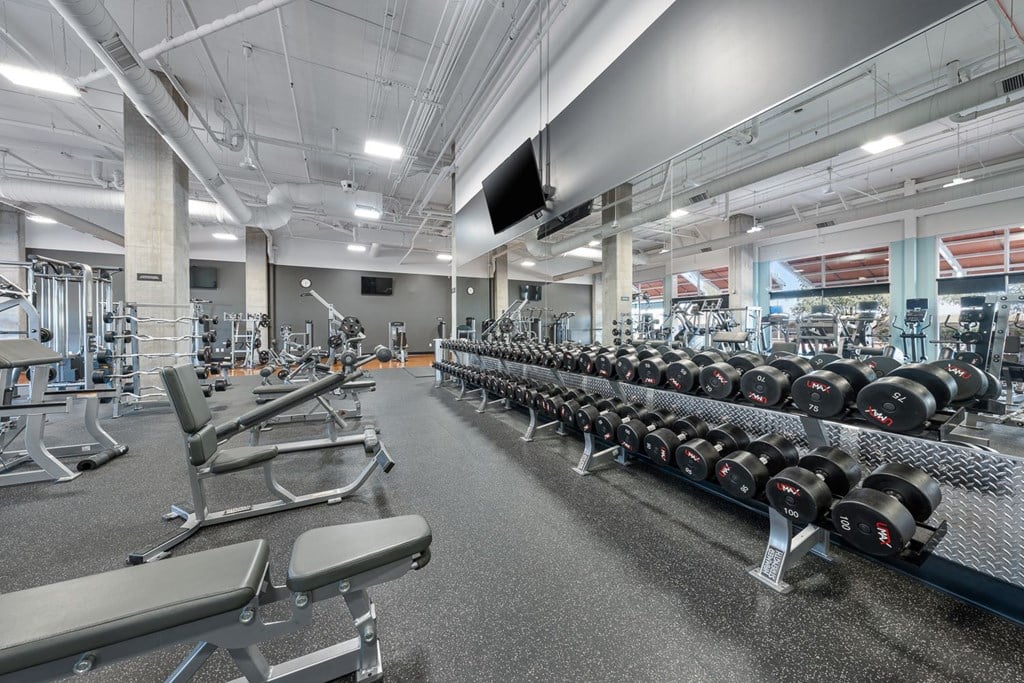 a gym with rows of weights and cardio equipment