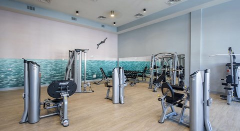 Fitness Center at Preserve at Championsgate Apartments