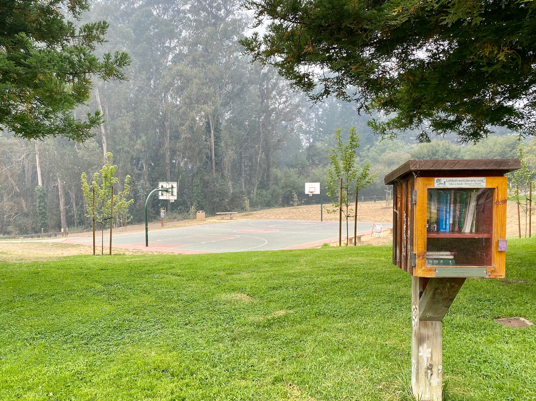 Westmont Place Townhomes