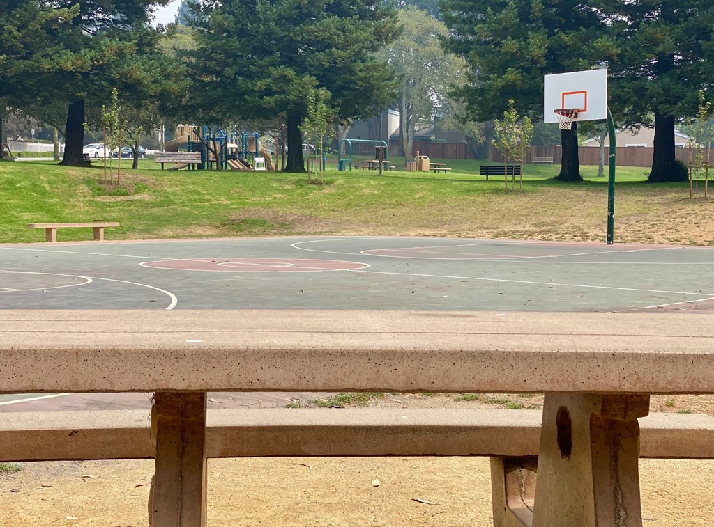 Picnic & Sports Court at Westmont Place Townhomes Apartments, Santa Cruz, California