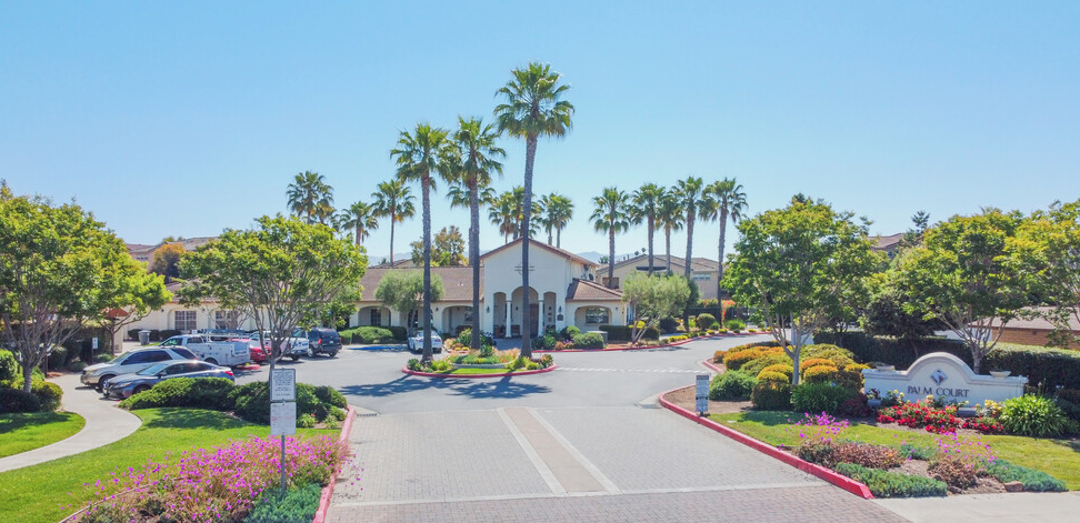 a street with houses and palm trees and a parking lot