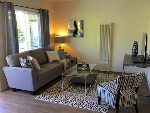 Junior 1 Bedroom Living area