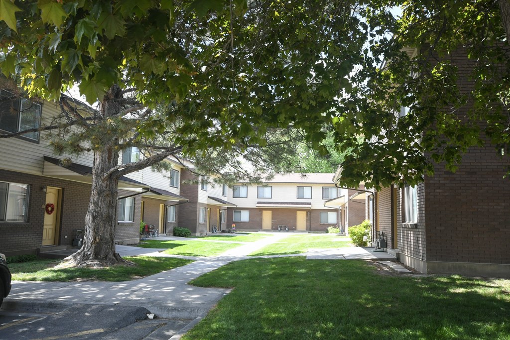 a sidewalk in front of some buildings and a tree