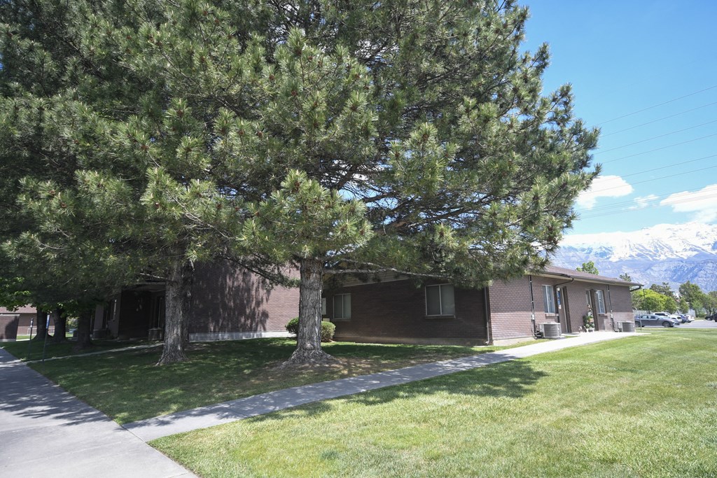 a building with a tree in the front of it