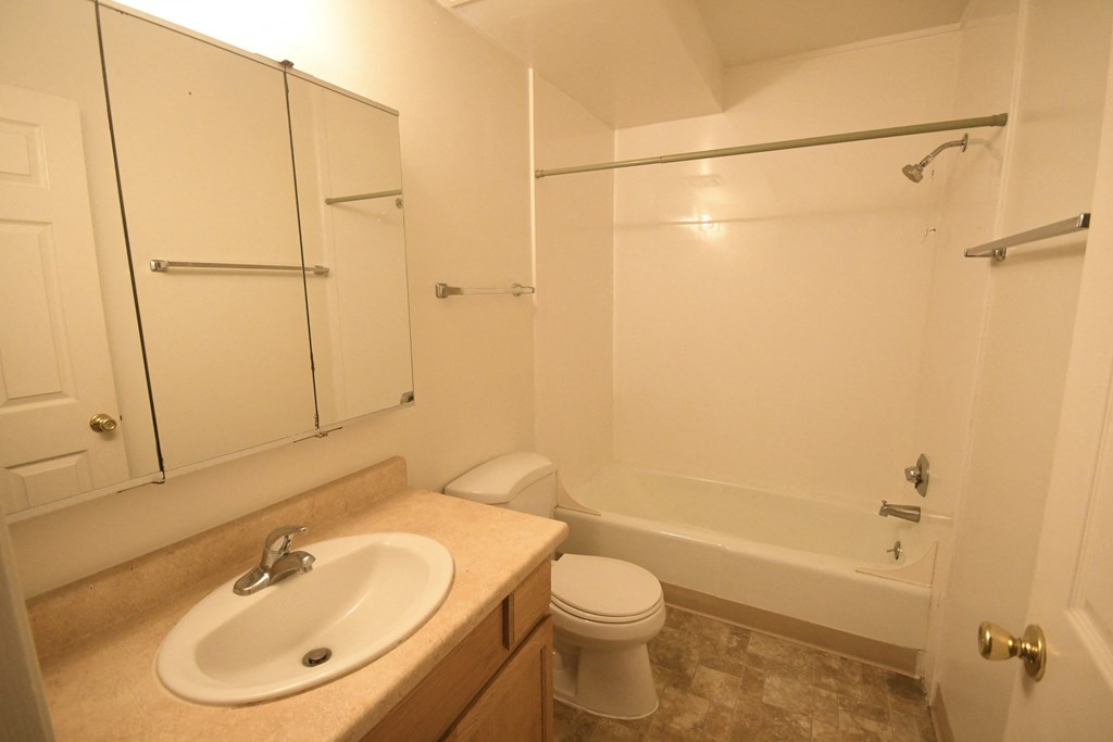 a bathroom with a sink and a shower and a toilet