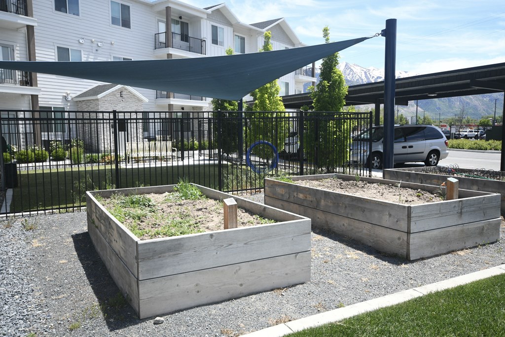 three raised garden beds in front of a fence with a canopy