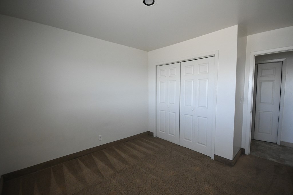 a bedroom with two closets and a carpeted floor