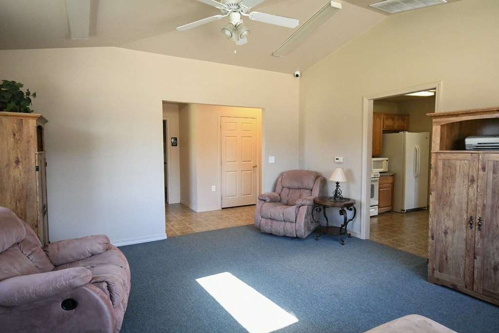 a living room with two chairs and a blue carpet