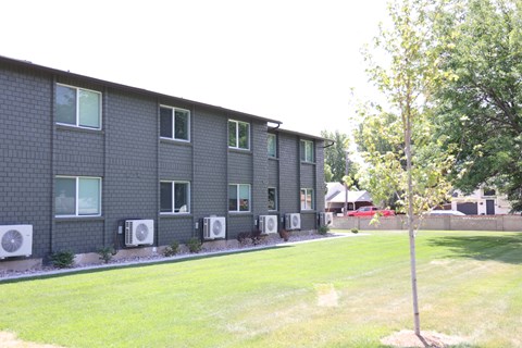 A tree stands in front of a building with air conditioning units outside.