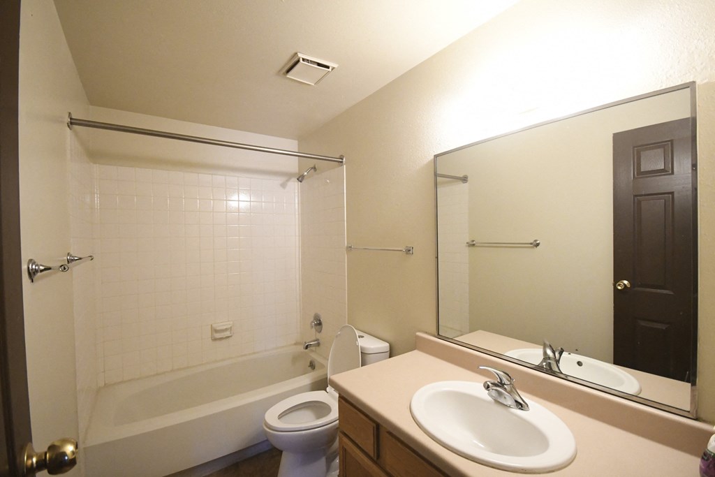 a bathroom with a sink and a toilet and a bath tub