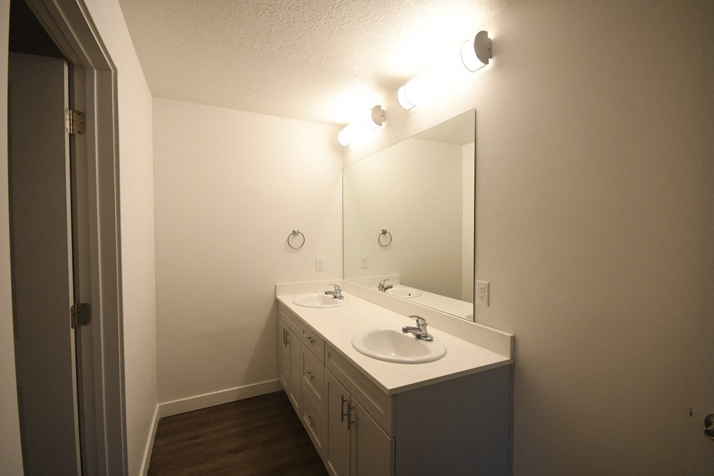 a bathroom with a sink and a mirror and a shower