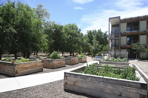a courtyard with wooden planters and trees in front of a building
