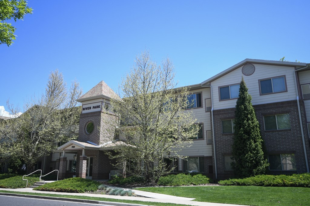 an apartment building with a tree in front of it