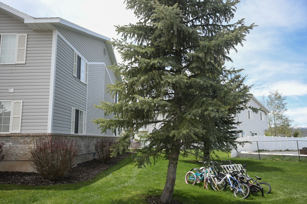 a group of bikes parked in front of a house