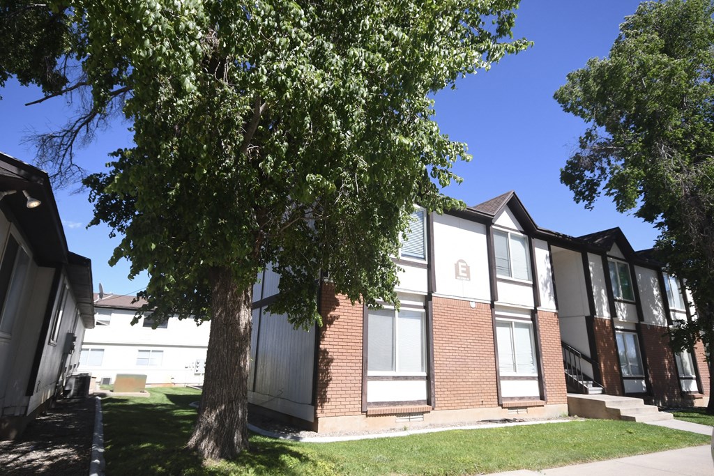 an apartment building with a tree in front of it