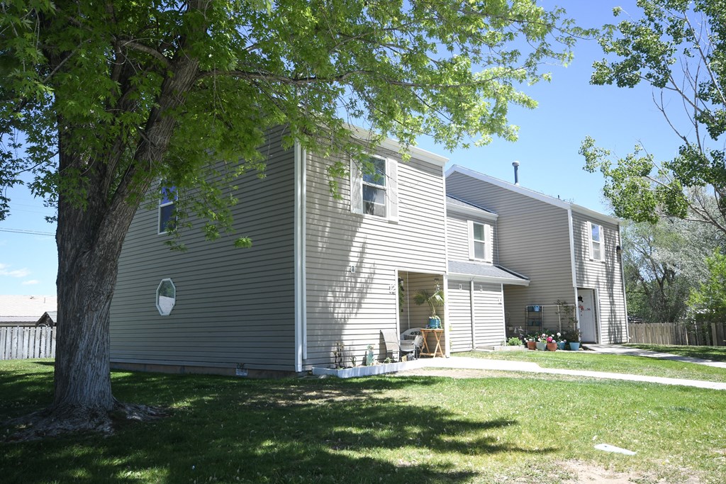 the back of a house with a tree in the yard