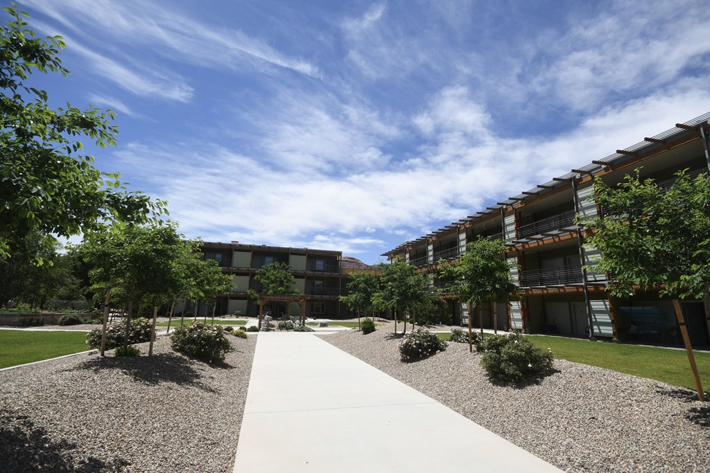 a courtyard with trees and a sidewalk in front of an apartment building