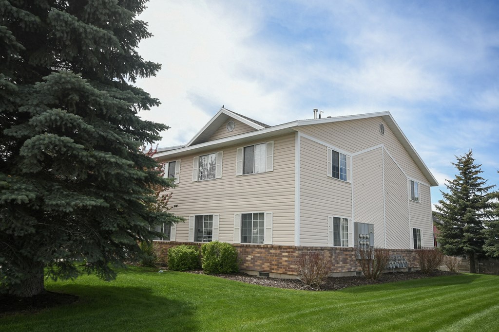 a reflection of a tree in the window of a house