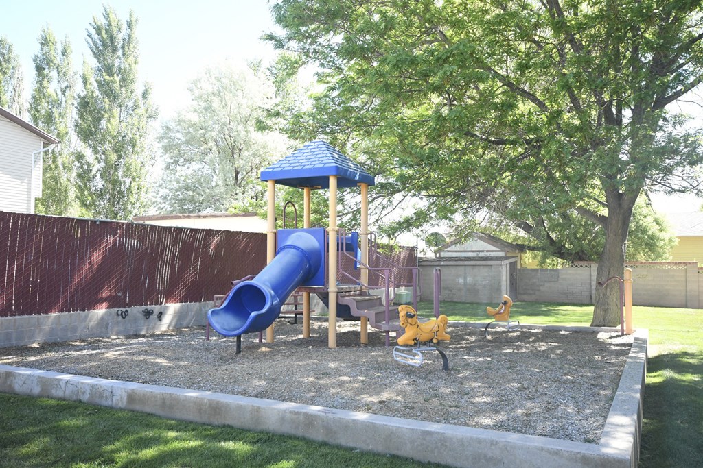 a playground with a blue slide and    two dogs