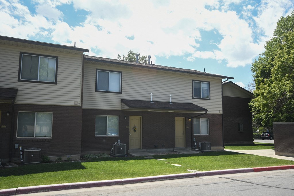 a brown and on the side of a street