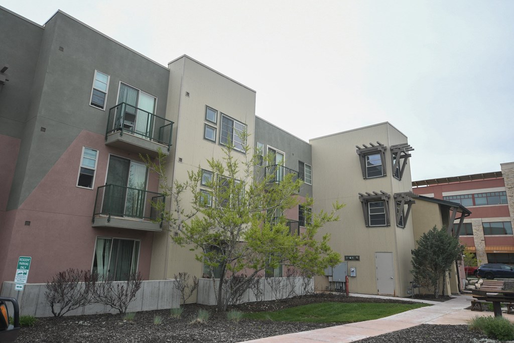 a group of three buildings with a sidewalk and a tree in front of them
