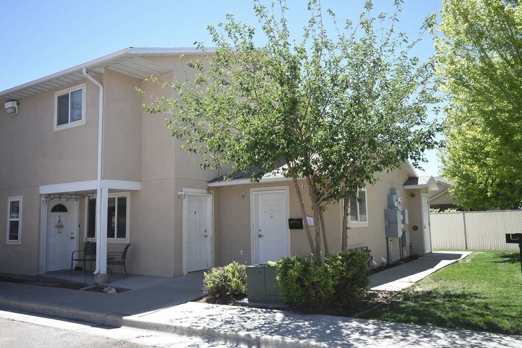a beige house with a tree in front of it