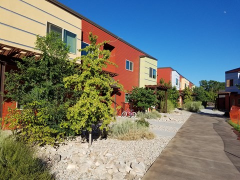 a row of colorful buildings with a sidewalk and trees