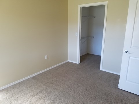 a bedroom with a closet and a carpeted floor