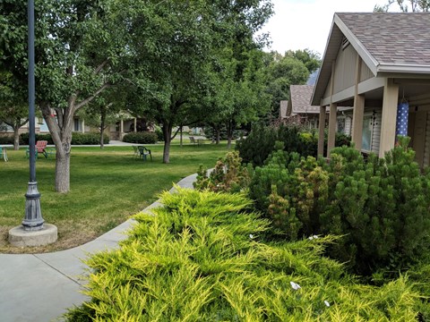 a sidewalk in front of a house