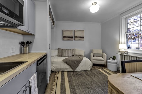 A kitchen with a sink and a window.