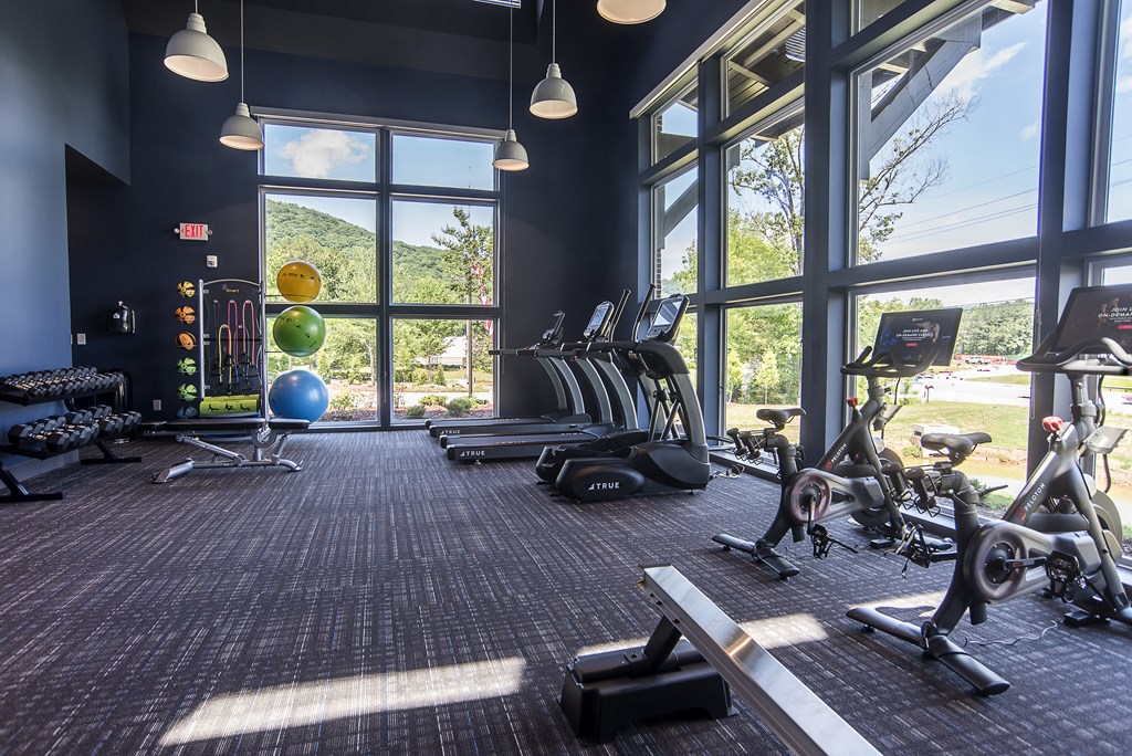 a gym with weights and cardio machines and windows