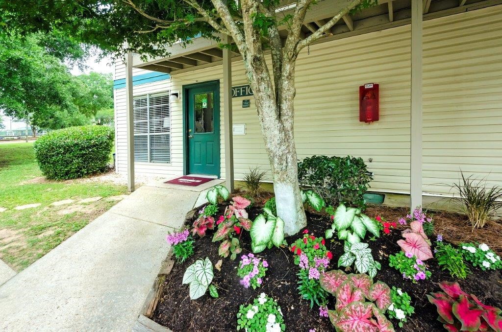 a front yard with flowers and a tree in front of a house