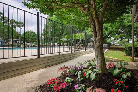 a tree and flowers in front of a swimming pool